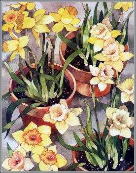 Alexis Seabrook : Garden Gatherings III